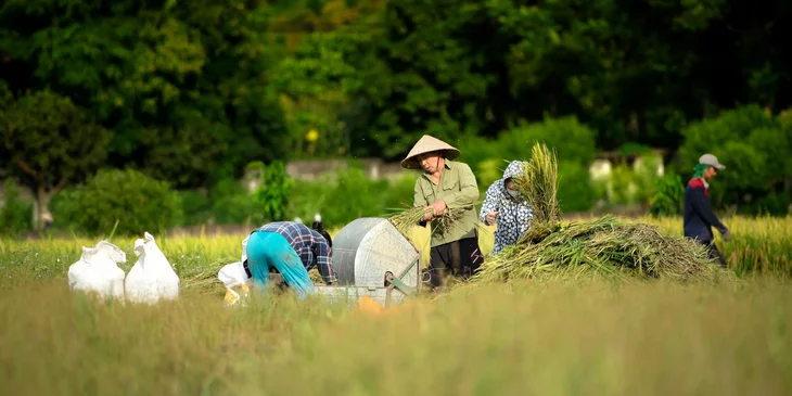Farmers working on cropland.