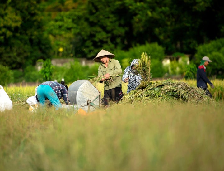 Farm Job Search Review With Pricing, Alternatives, and FAQs