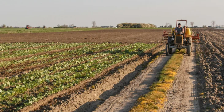 A farmer plowing the field.