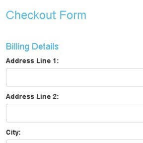 Fill in the "Checkout Form."