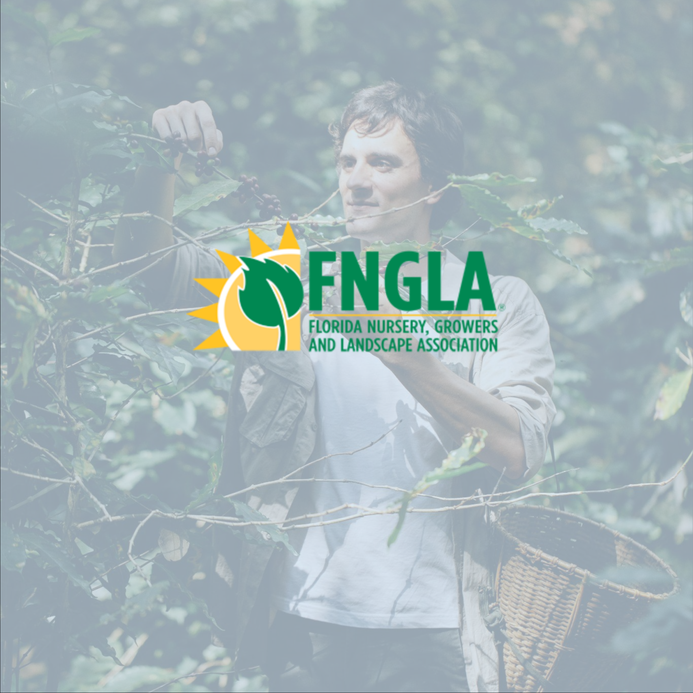 FNGLA Job Board Review With Pricing, Alternatives, and FAQs