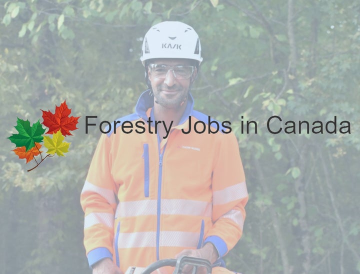 Forestry Jobs in Canada Review With Pricing, Alternatives, and FAQs