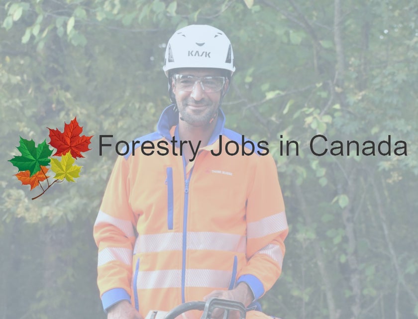 Forestry Jobs in Canada logo.