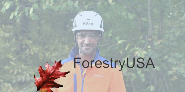 ForestryUSA logo.