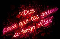 Una frase motivadora escrita en neón rosa sobre fondo negro.