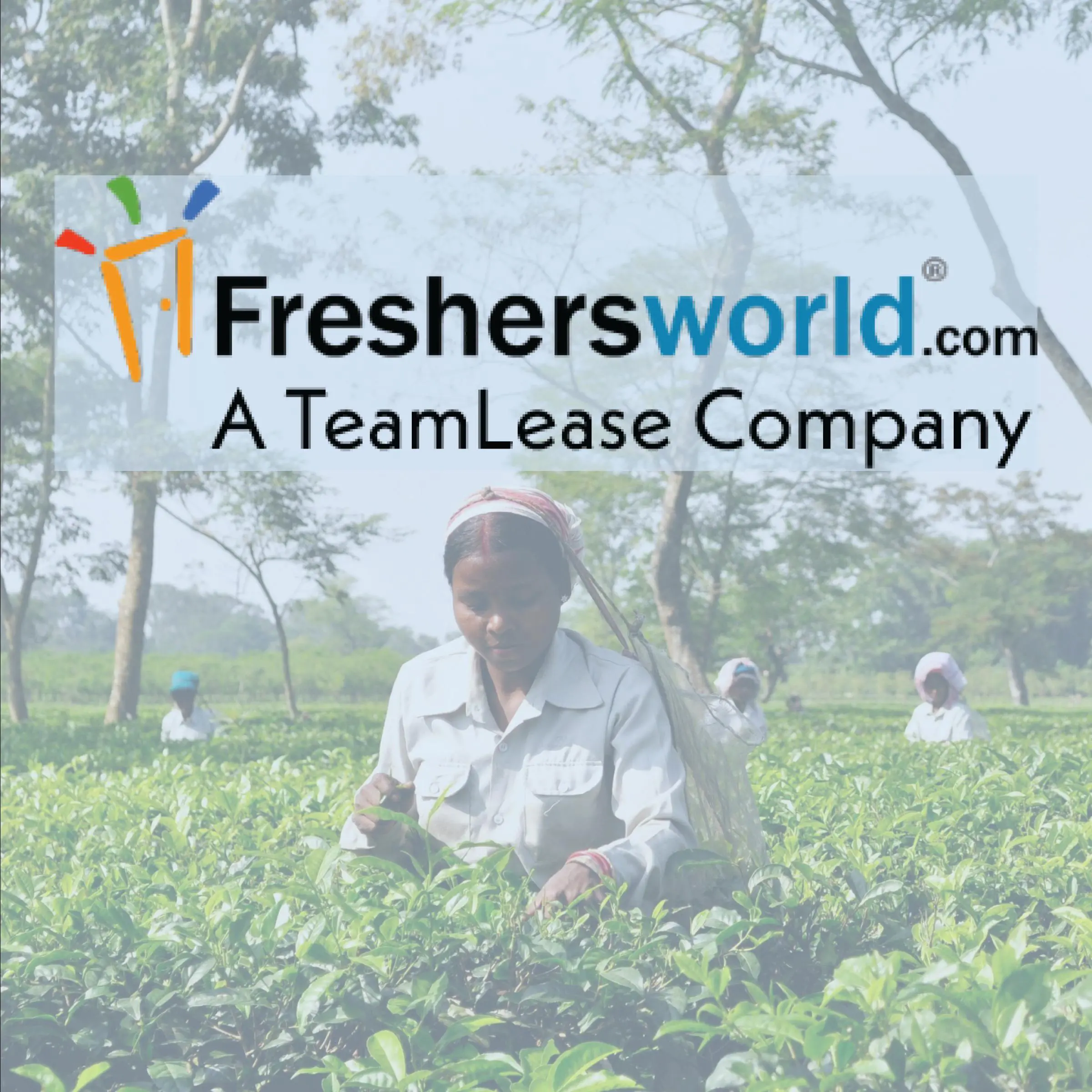 Freshersworld.com Review With Pricing, Alternatives, and FAQs