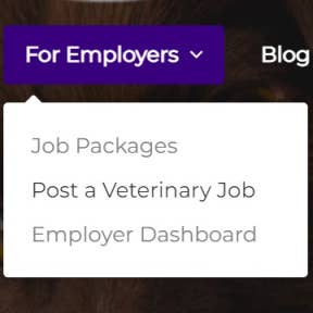 Click on "Post a Veterinary Job."