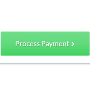 Click on "Process Payment."