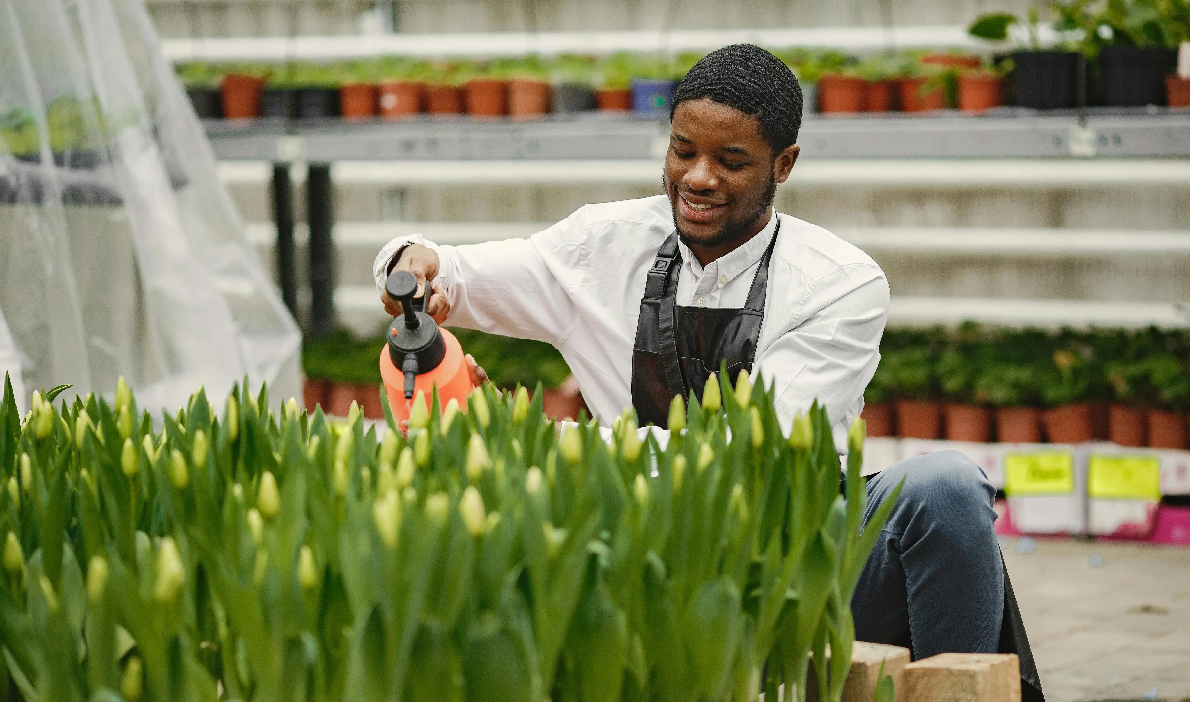 greenjobsearch.org Review With Pricing, Alternatives, and FAQs