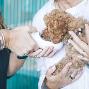 Showcase the benefits of the job.