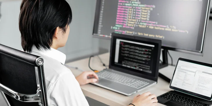 A developer hired to develop a software.
