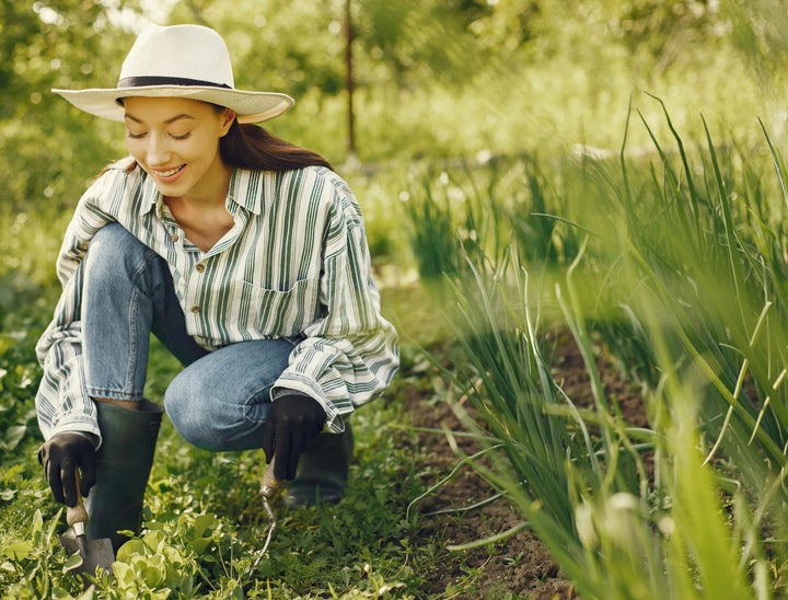 HireHorticulture.com Review With Pricing, Alternatives, and FAQs