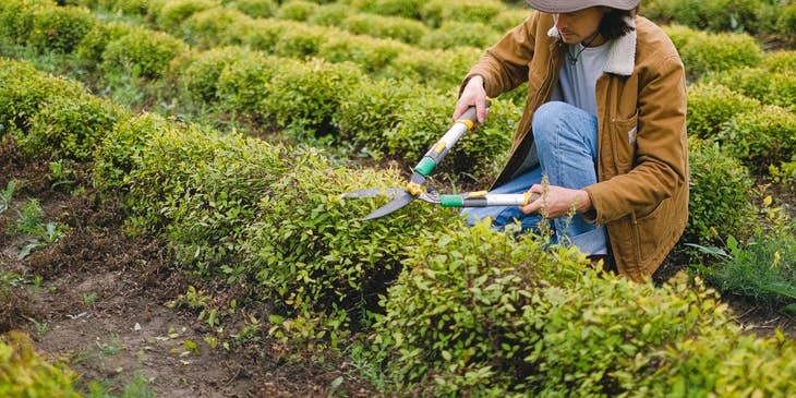 A person practicing horticulture in a farming area.