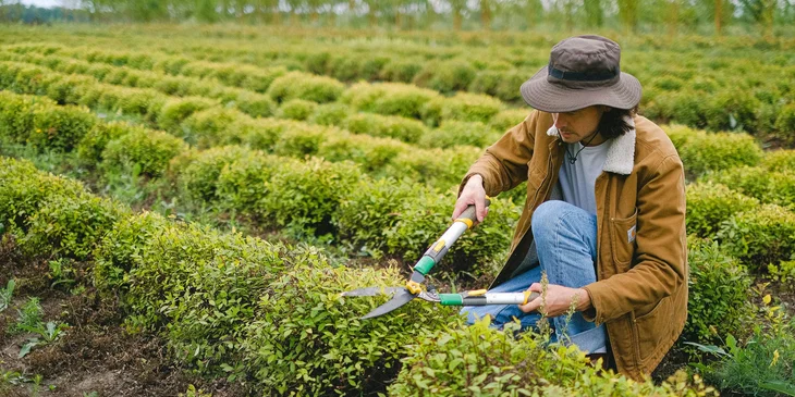 A person practicing horticulture in a farming area.