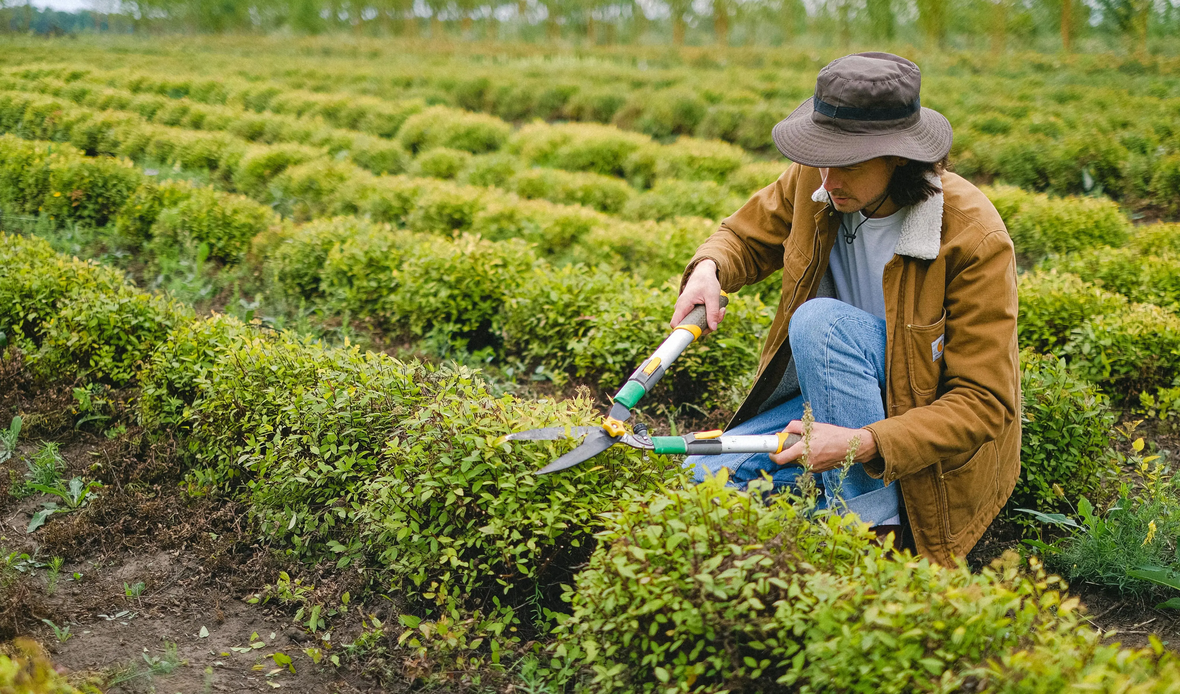 The Best Horticulture Job Boards to Cultivate Top Talent