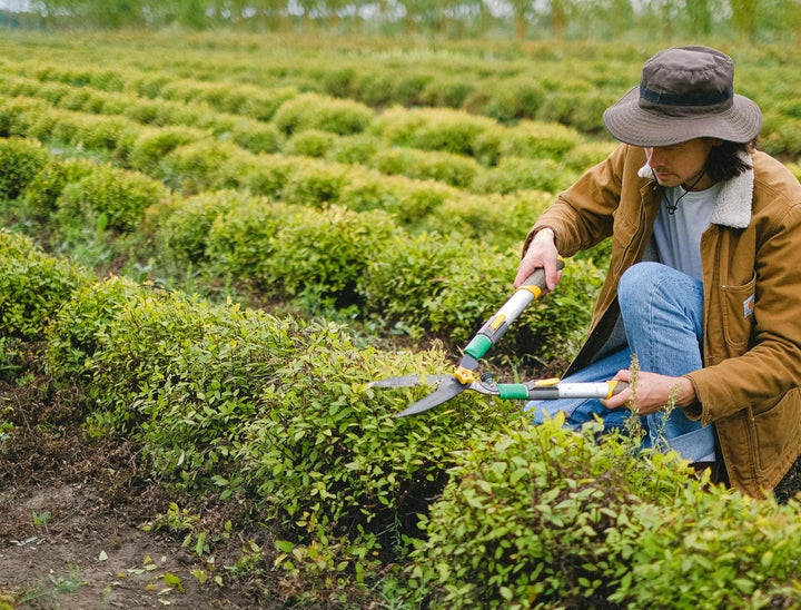 The Best Horticulture Job Boards to Cultivate Top Talent