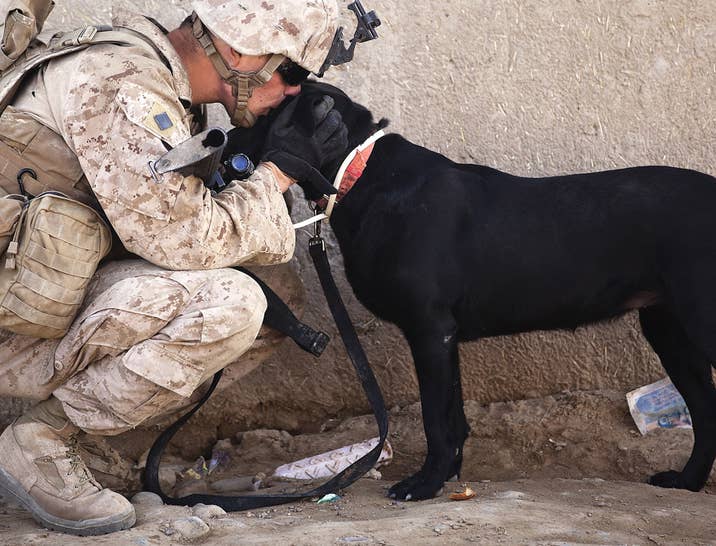 How to Hire Veterans