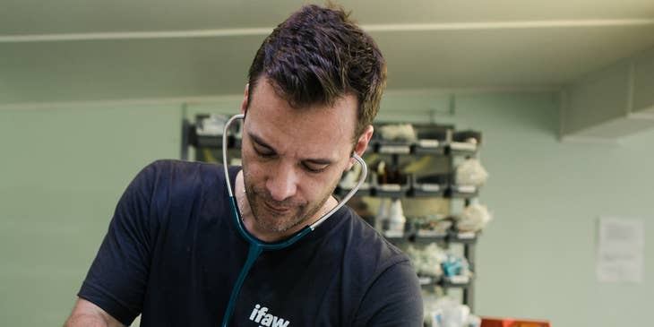 A veterinarian working with a koala.
