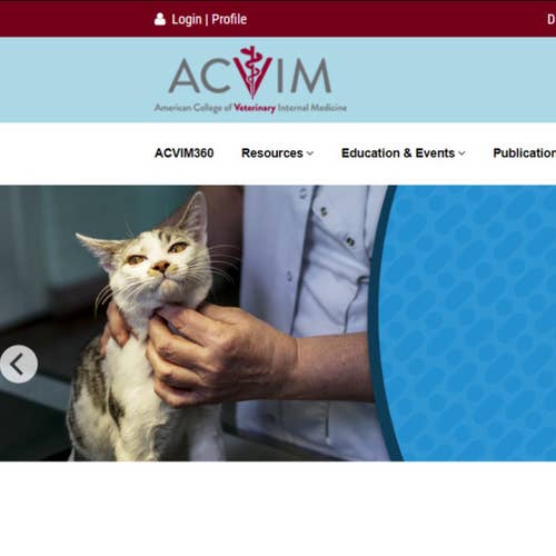 How to Post a Job on ACVIM: