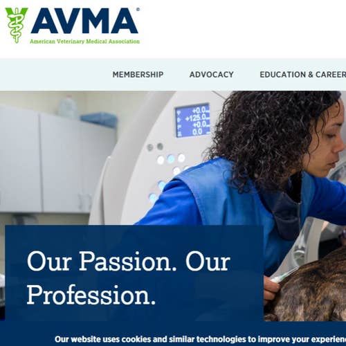 How to Post a Job on AVMA: