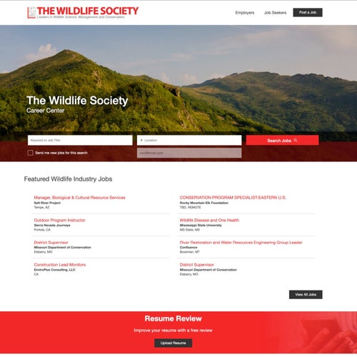 How to Post a Job on The Wildlife Society: