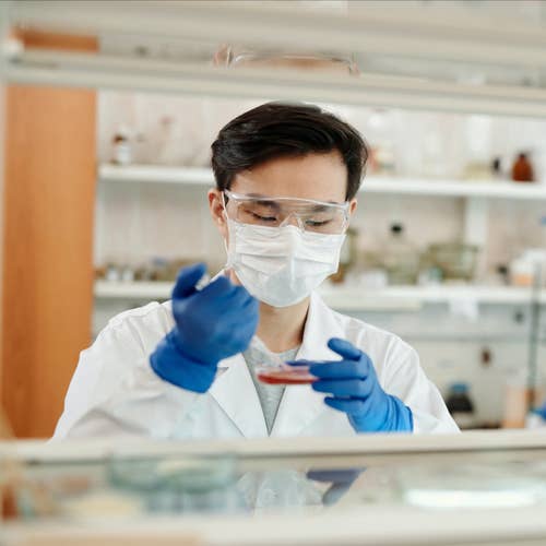 Specialty Occupations Guide for Employers