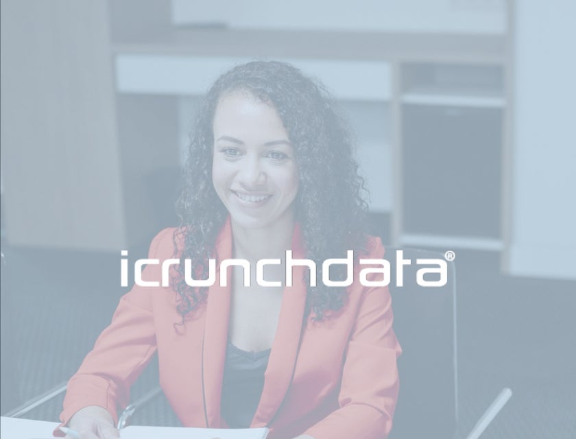 icrunchdata logo.