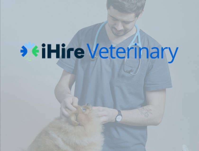 iHireVeterinary logo.