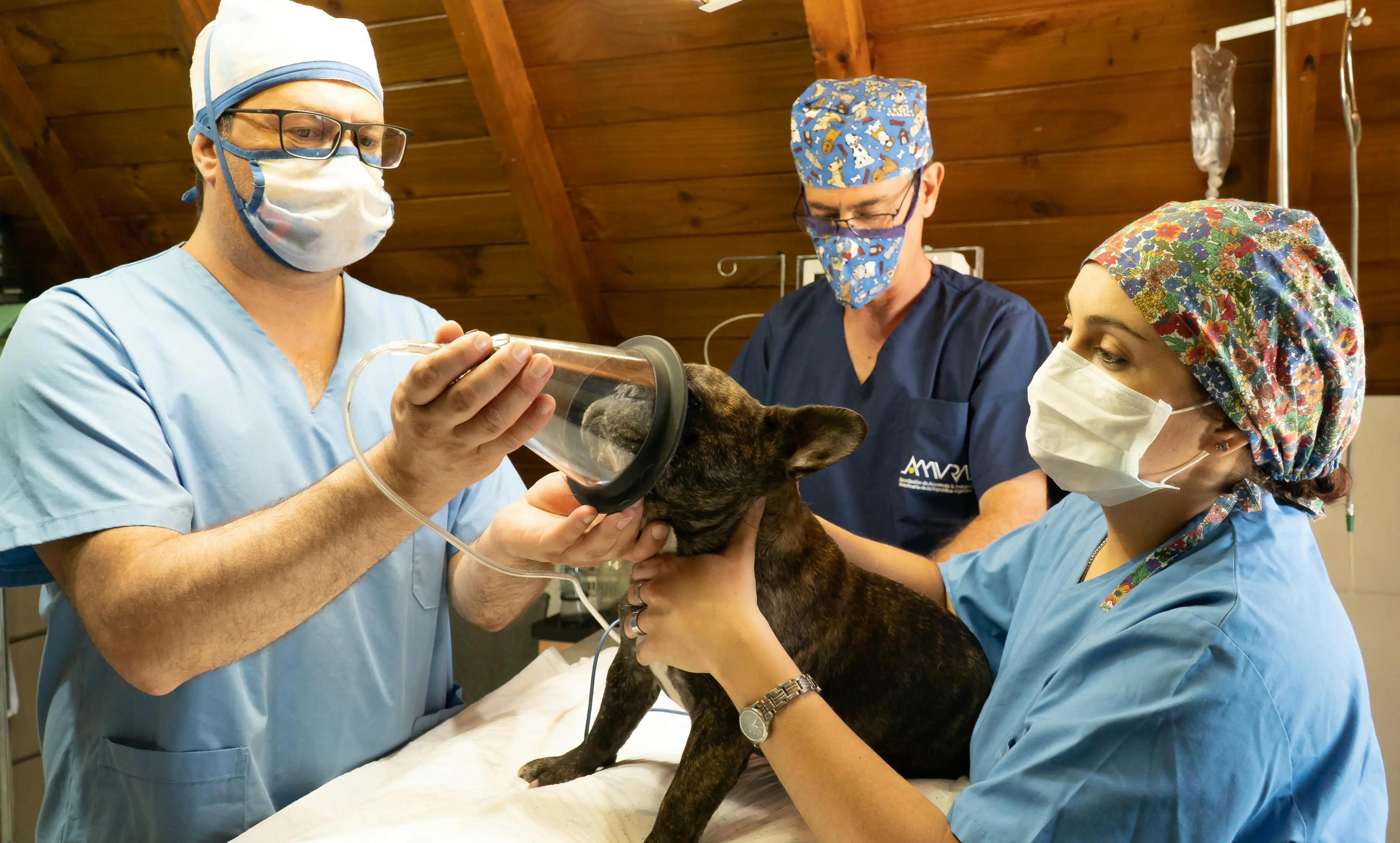 iHireVeterinary Review With Pricing, Alternatives, and FAQs