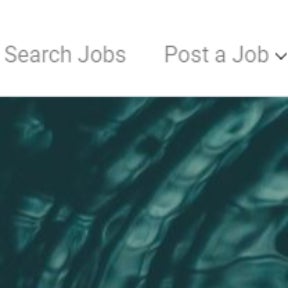 Click on "Post a Job."