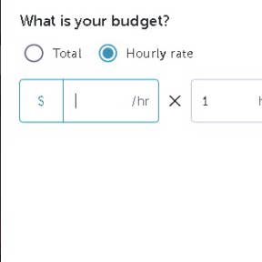 Indicate your budget.