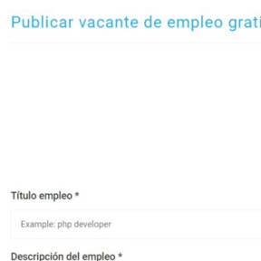Ingresa toda la información sobre el puesto.