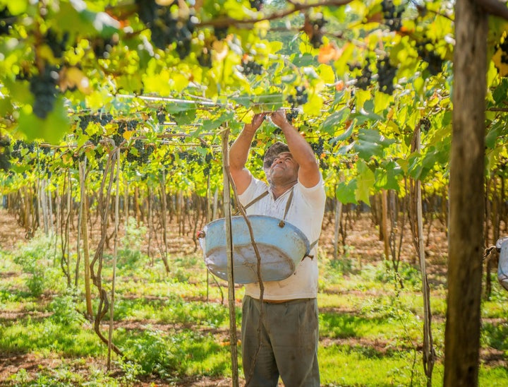 International Wine Center Job Board Review With Pricing, Alternatives, FAQs