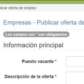 Introducir los datos de la vacante.