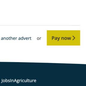 Complete the payment and post your job ad.