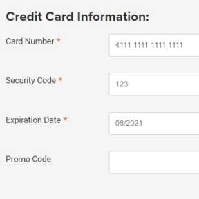 Complete the payment and post your job.