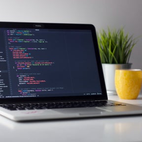 Focus on certificates in the field of computer programming.