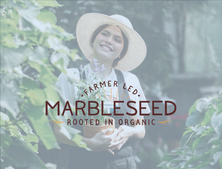 Marbleseed logo.