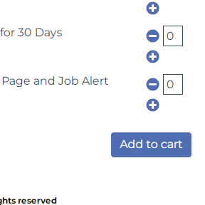 Select any add-ons.