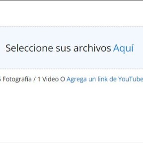 Sube imágenes y/o videos.