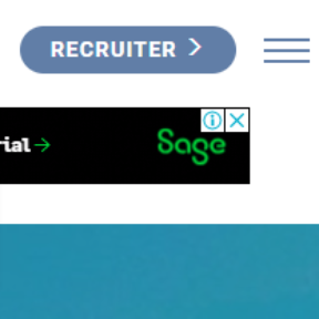 Go to MultiLingualVacancies.com.