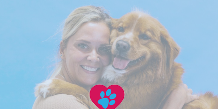 My Veterinary Job Board logo.