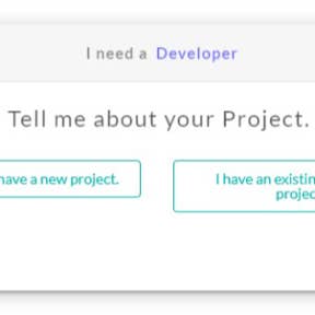 Select the type of project you are hiring for.