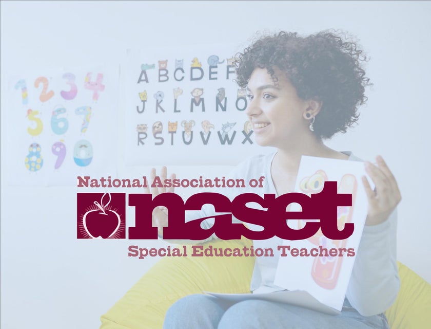NASET Career Center logo.