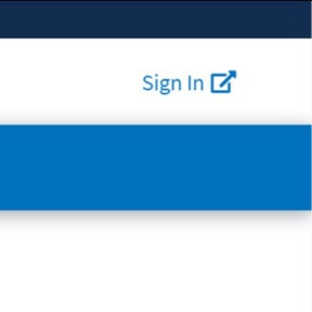 Navigate to the FLAG website.