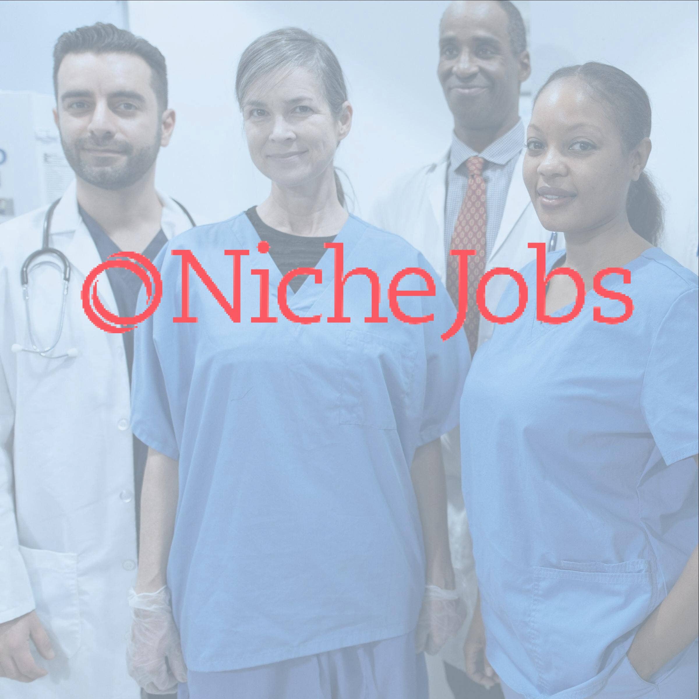 Niche Jobs Review With Pricing, Alternatives, and FAQs