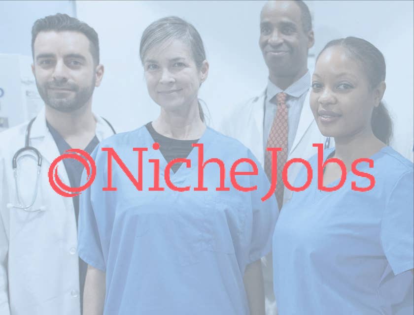 Niche Jobs logo.