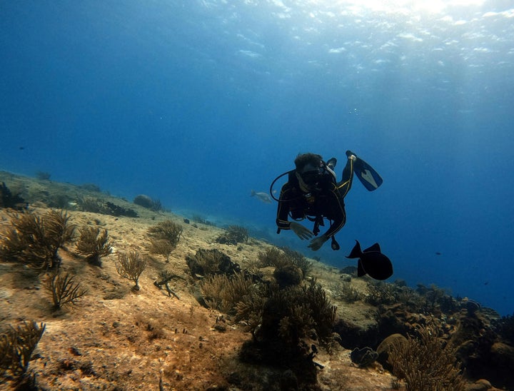 Oceanographer Interview Questions