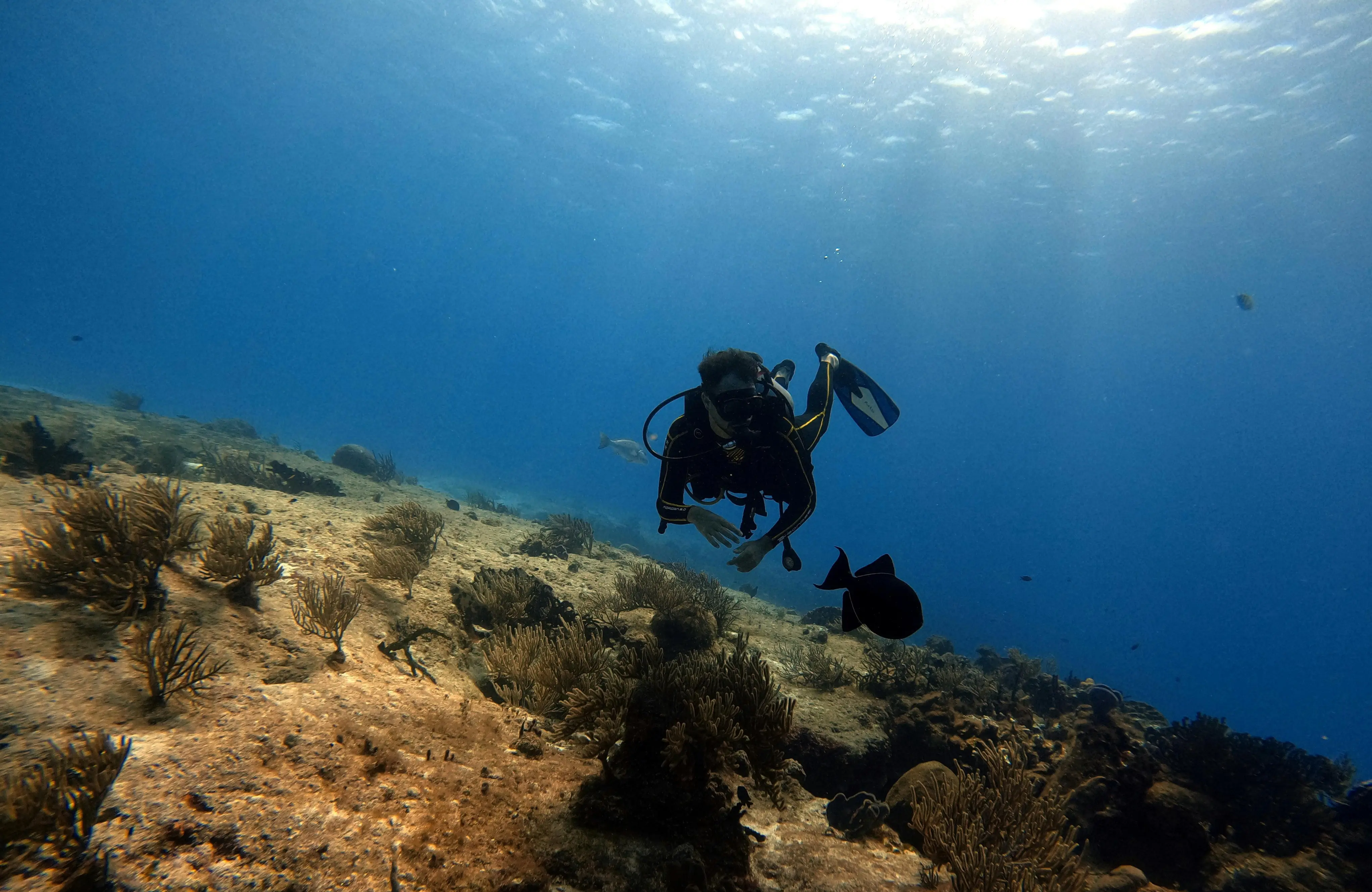 Oceanographer Job Description