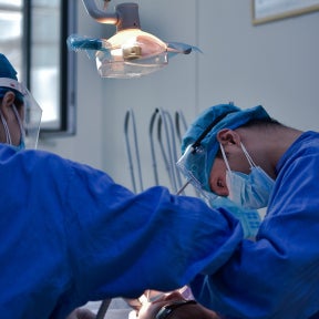 Develop an internship program.